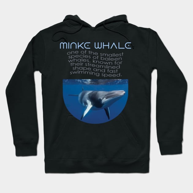 Alaska Whale Watching Hoodie by TeeText